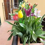 Dal Teatro - Centro Apartamento Imola
