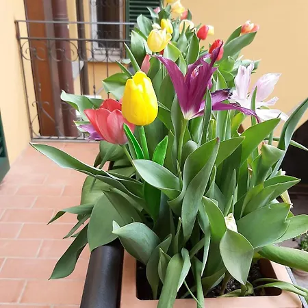 Via Aemilia - Centro Apartment Imola