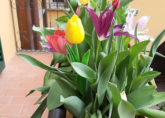 Via Aemilia - Centro Apartman Imola